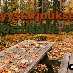 Tarjoukset